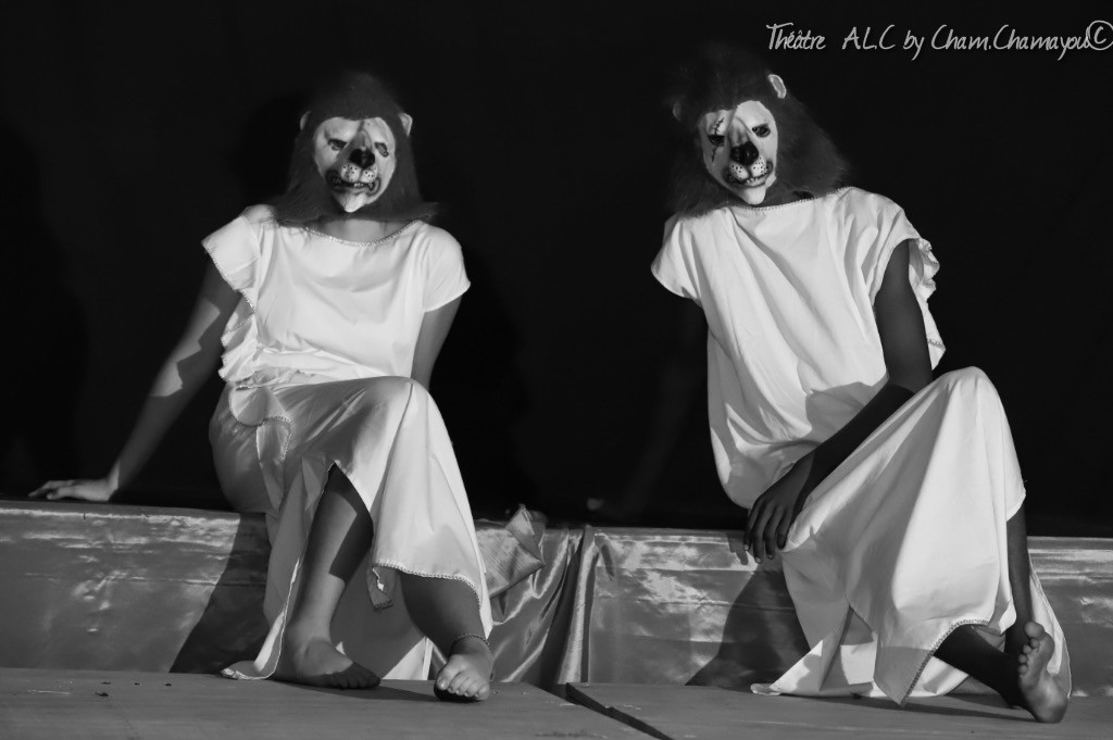 les lions de Circé
